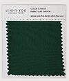Jenny Yoo Luxe Chiffon Swatch - Forrest