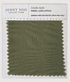 Jenny Yoo Luxe Chiffon Swatch - Olive