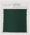 Jenny Yoo Luxe Satin Swatch - Emerald