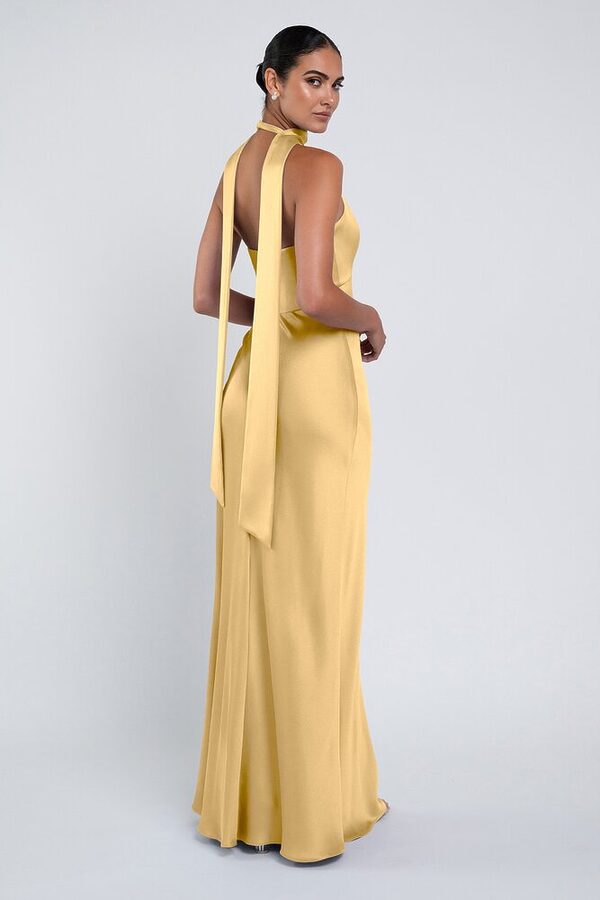 Louisa bridesmaid dress by Jenny Yoo in Daffodil - Yellow - Back Louisa bridesmaid dress by Jenny Yoo in Daffodil - Yellow - Back