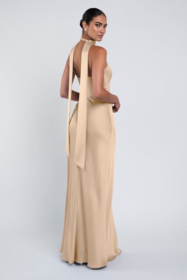 Louisa bridesmaid dress by Jenny Yoo in Pale Gold - Yellow - Back Louisa bridesmaid dress by Jenny Yoo in Pale Gold - Yellow - Back
