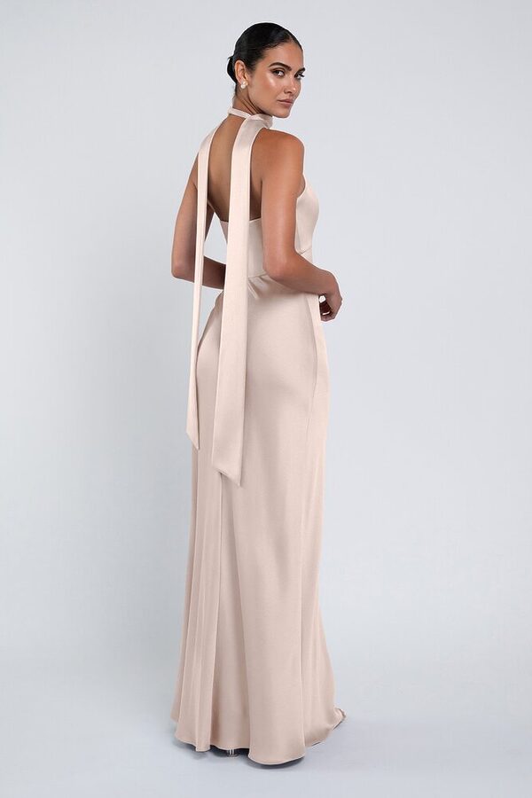 Louisa bridesmaid dress by Jenny Yoo in Prosecco - Neutral - Back Louisa bridesmaid dress by Jenny Yoo in Prosecco - Neutral - Back