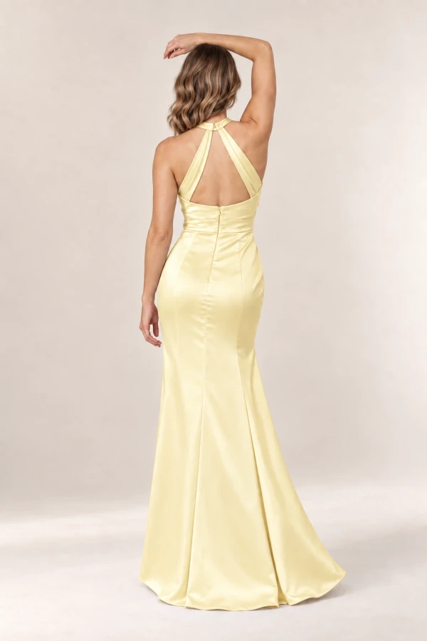 Anna Lemon satin bridesmaid dress by Tania Olsen — rear view Anna Lemon satin bridesmaid dress by Tania Olsen — rear view